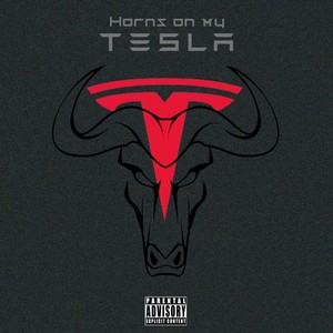 Horns on My Tesla