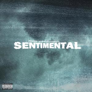 Sentimental(feat. BigBadRaky) (Explicit)