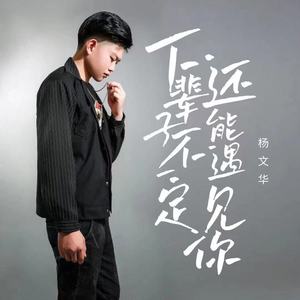 下辈子不一定还能遇见你 (重制版)