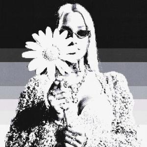 TOTAL DESIGNER (Explicit)