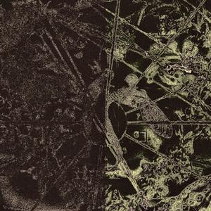 OUT MY BODY (feat. woso, Neight & foreverapsyko) (Explicit)