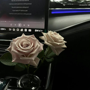 星晴 + 回到过去 + 最后的战役 + 爱我别走-珍惜