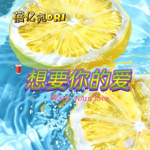 想要你的爱 (伴奏)