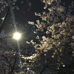 magtiwala (Explicit)