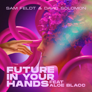Future In Your Hands (feat. Aloe Blacc) (Extended Mix)