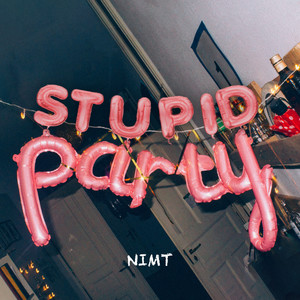 Stupid Party (Explicit)