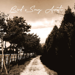 Bird's Song Acoustic (에이스침대CF 박보검편)
