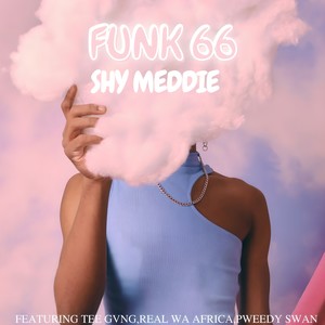 Funk 66