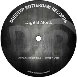 Revolutionary Dub (Original Mix)