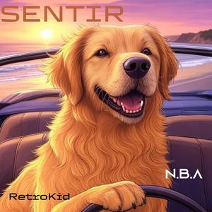 SENTIR (feat. RetroKid)