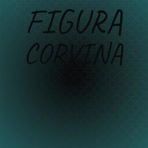 Figura Corvina