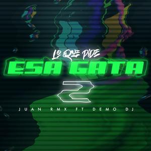 Lo Que Pide Esa Gata 2 (feat. Demo Dj)