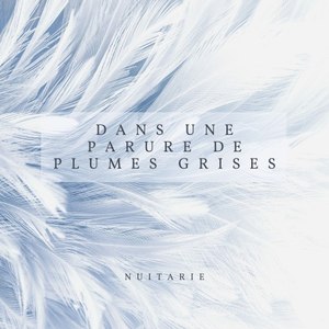 Dans une parure de plumes grises