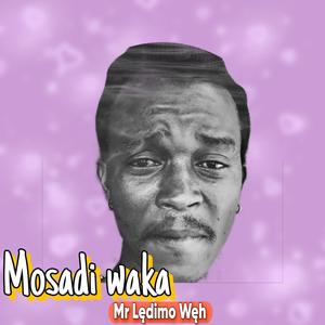 Mosadi waka