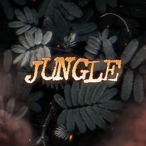Jungle (Explicit)