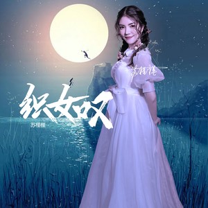 织女叹-DJ沈念版 (Remix)封面