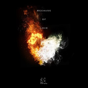 Because of Love(feat. Sher Wye Leong)