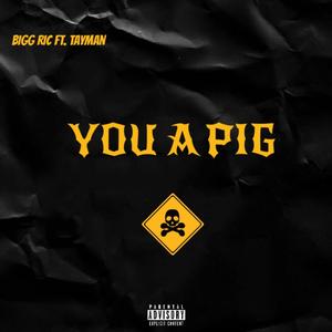 You A Pig (Explicit)