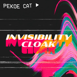 Invisibility Cloak