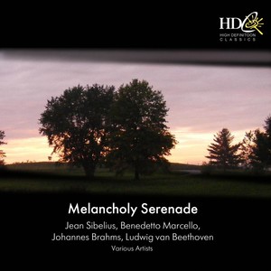 Melancholy Serenade