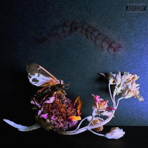 SKIT 2.5 (WhereDoWeGo) (Explicit)