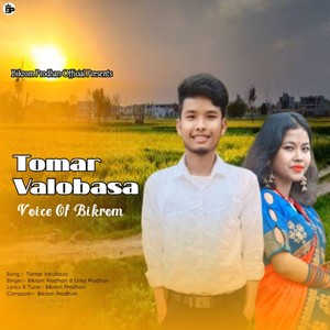 Tomar Valobasa