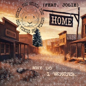 Why Do I Wonder (feat. Jolie Gallotta)