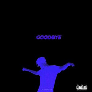 Goobye (feat. Ally Sevani)