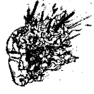 a song about birds or desire or death