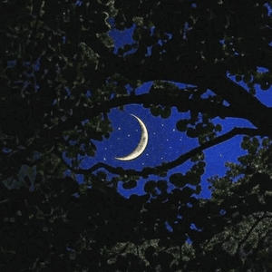 giveyoutheworld (feat. p!nkcasperr & s0ftskelet0ns)