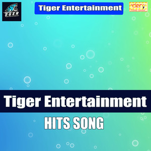 Tiger Entertainment Hit Songs