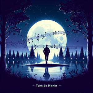Tum Jo Nahin (feat. Ashwin Seshadri)