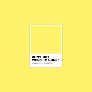 Don't Cry When I'm Gone (Explicit)