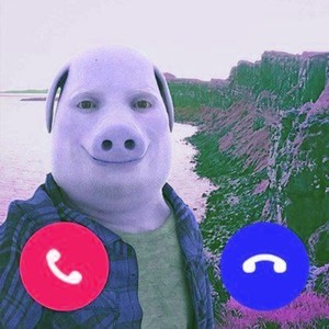 JHON PORK PHONK (SLOWED)