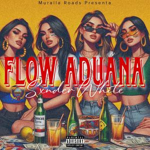 Flow Aduana (Explicit)