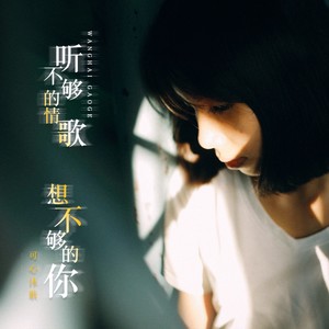 听不够的情歌想不够的你 (DJ月之歌版伴奏)