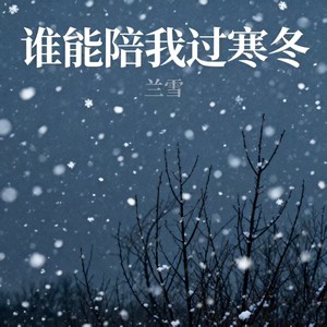 谁能陪我过寒冬