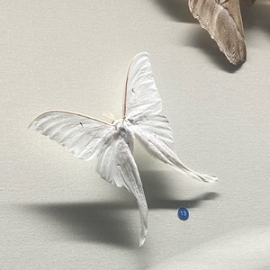 CRUSH (Sped Up Version)