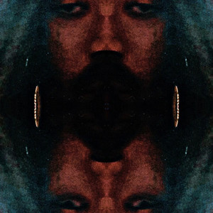 Shook - DMW (Explicit)