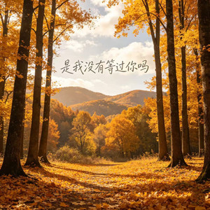 是我没有等过你吗 (烟嗓版)封面