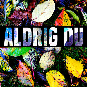 Aldrig du