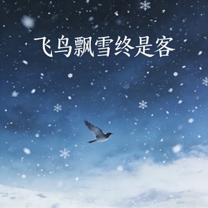 飞鸟飘雪终是客