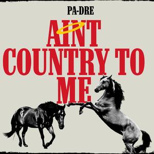 Aint Country To Me (Explicit)