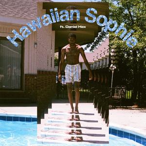 Hawaiian Sophie(feat. Daniel Hex)