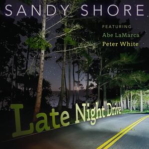Late Night Drive (feat. Peter White & Abe LaMarca) (SJG Mix)
