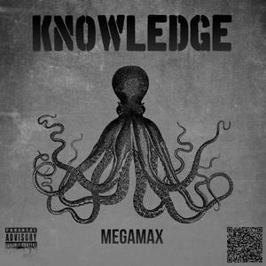 Knowlegde (feat. Fee-Z) [Explicit]