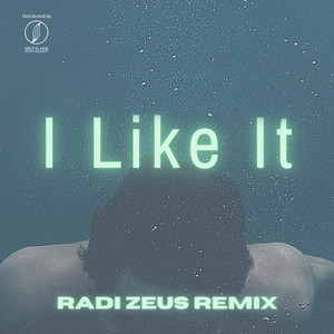 I Like It (Remix|Explicit)
