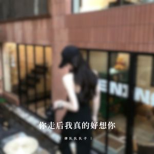 你走后我真的好想你 (DJ超燃版)封面
