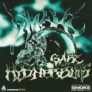 Smoke (feat. Gabe Agui) [Explicit]