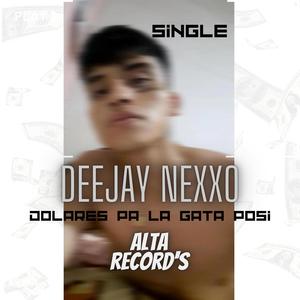 Dolares Pa La Gata Posi (feat. DeeJayNexxo) (Explicit)